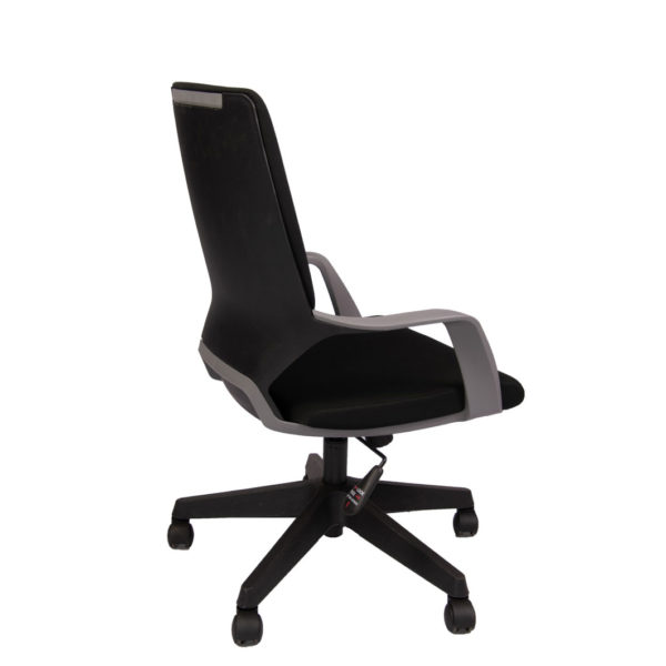 Apolla Mid Back Office Chair